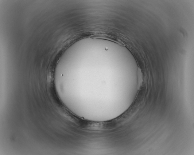 X0000113120084200909181657