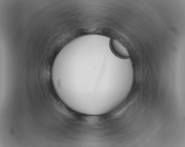 X0000113120085200909181657