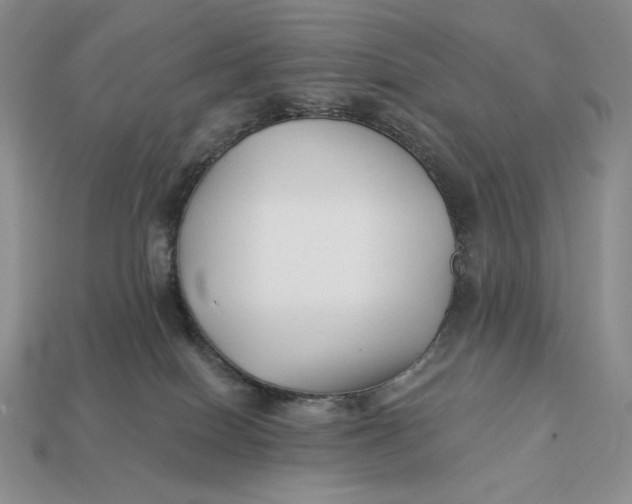 X0000113120086200909181657