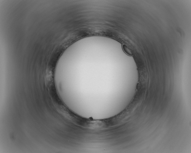 X0000113120087200909181657