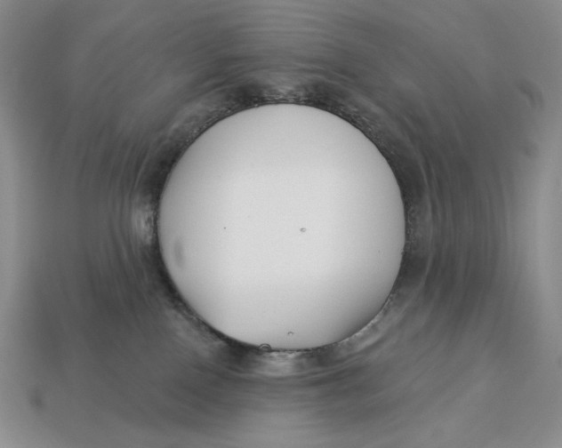 X0000113120090200909181657