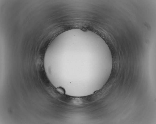 X0000113120091200909181657