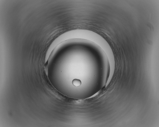 X0000113120092200909181657