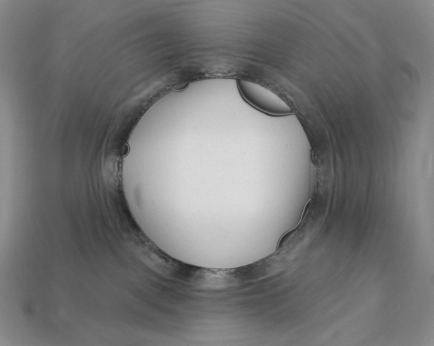 X0000113120093200909181657
