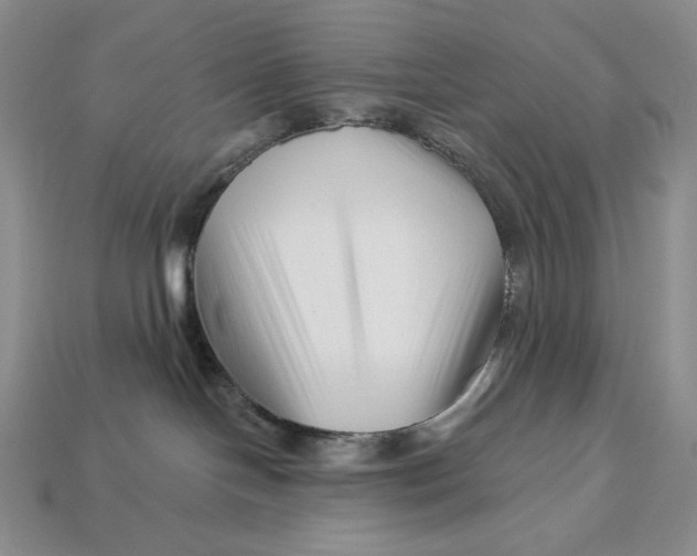 X0000113120094200909181657