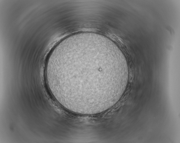 X0000113120098200909181656