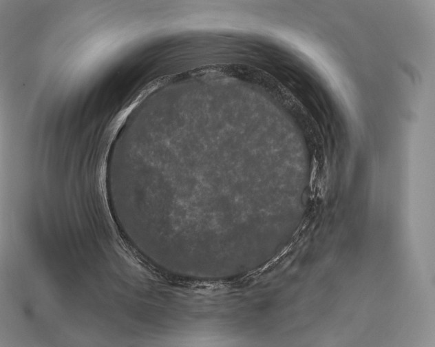 X0000113120099200909181656