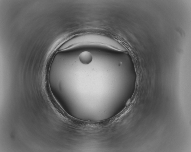 X0000113120101200909181656