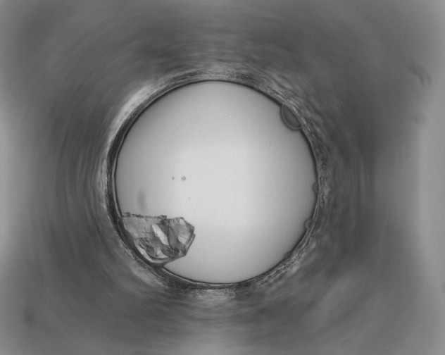 X0000113120102200909181656