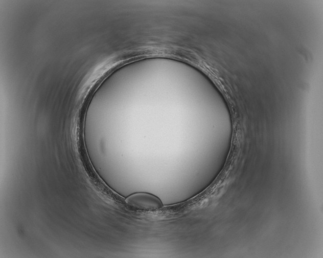 X0000113120103200909181656