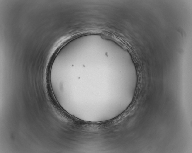 X0000113120104200909181656