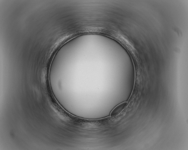 X0000113120107200909181656