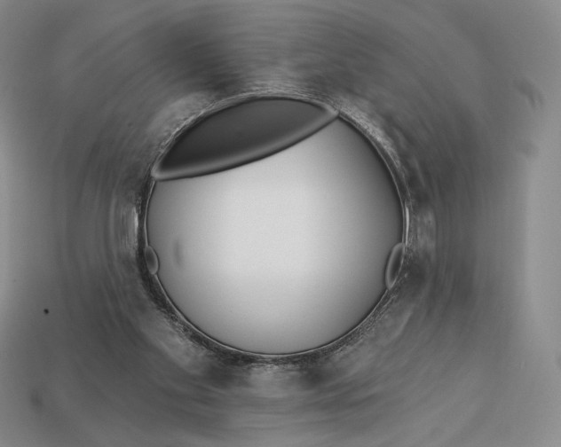 X0000113120109200909181656
