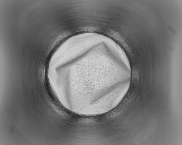 X0000113120110200909181656