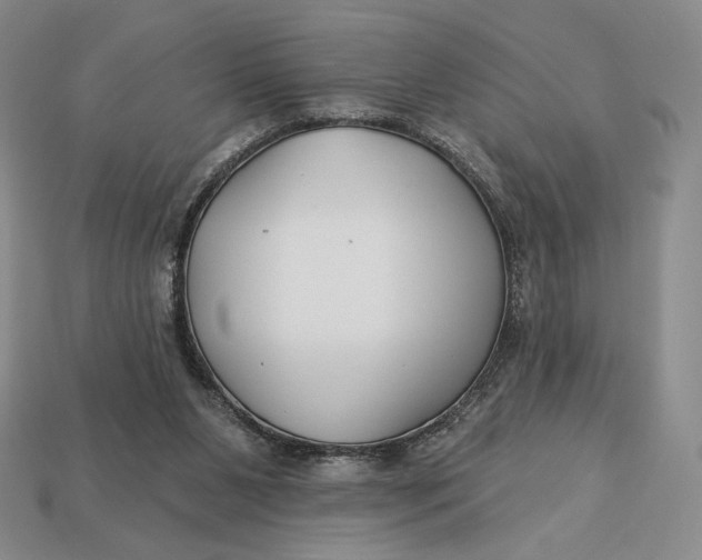 X0000113120111200909181656