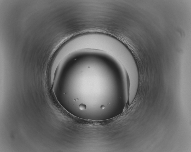 X0000113120112200909181656