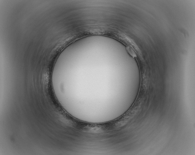 X0000113120113200909181656