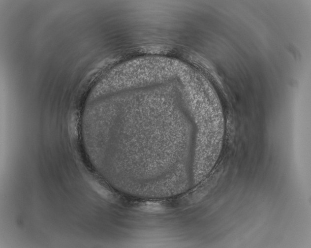 X0000113120114200909181656