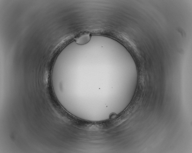 X0000113120115200909181656