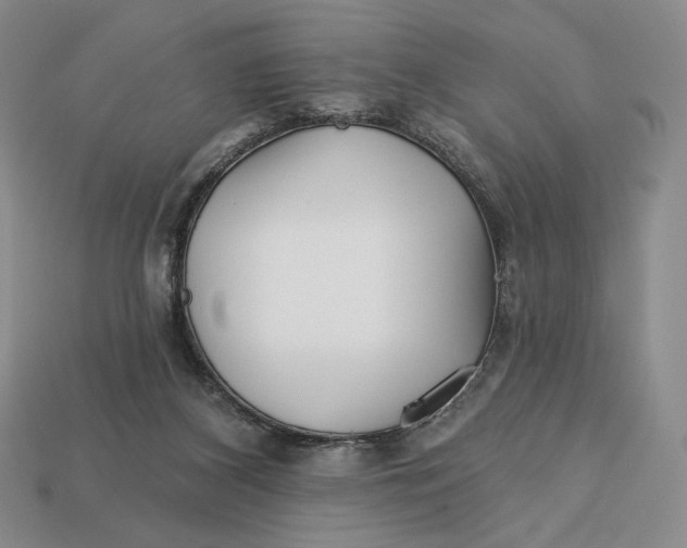 X0000113120116200909181656