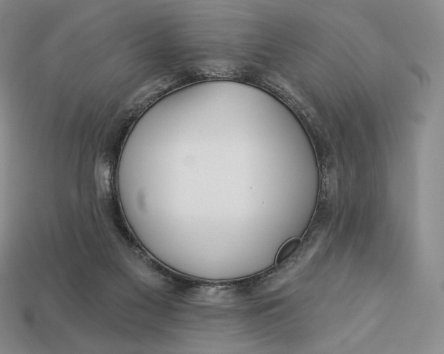 X0000113120117200909181656