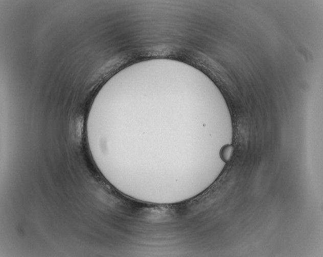 X0000113120118200909181656