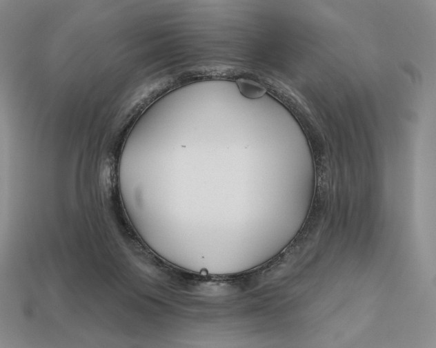 X0000113120119200909181656