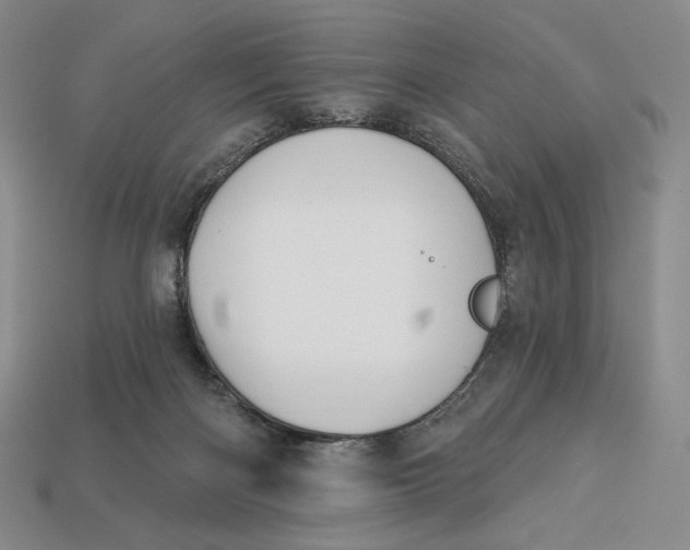 X0000113120122200909181656