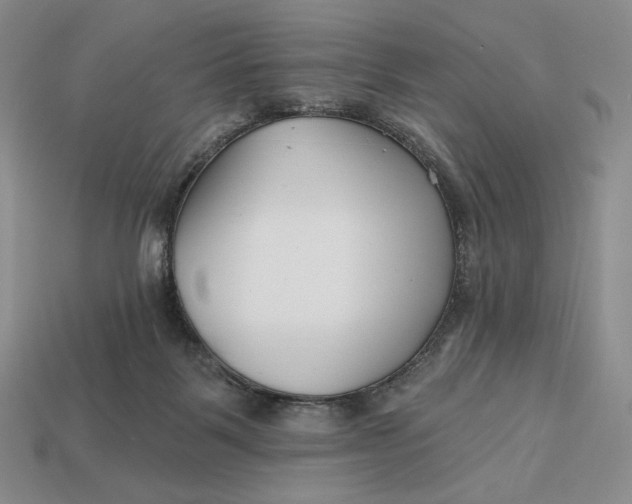 X0000113120123200909181656