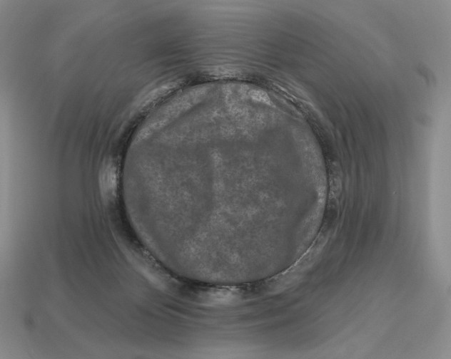 X0000113120124200909181656
