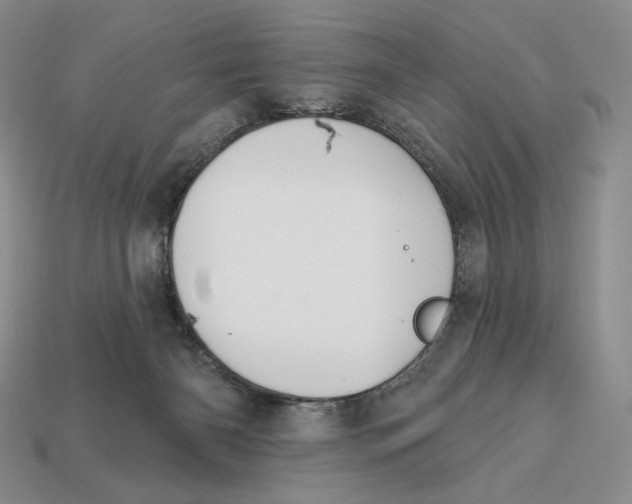 X0000113120126200909181656