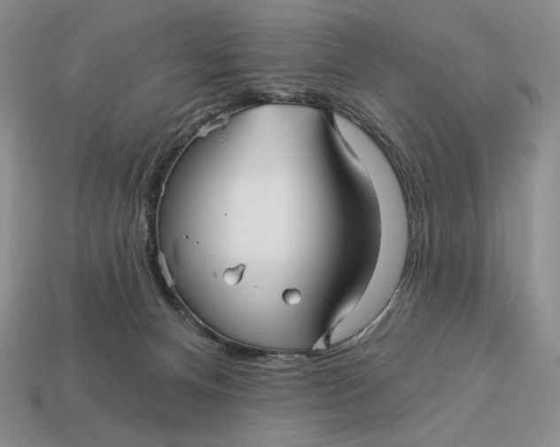 X0000113120128200909181656