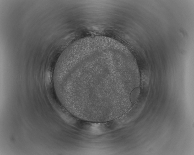 X0000113120130200909181656