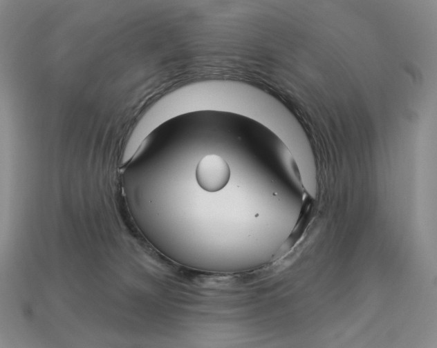 X0000113120132200909181656
