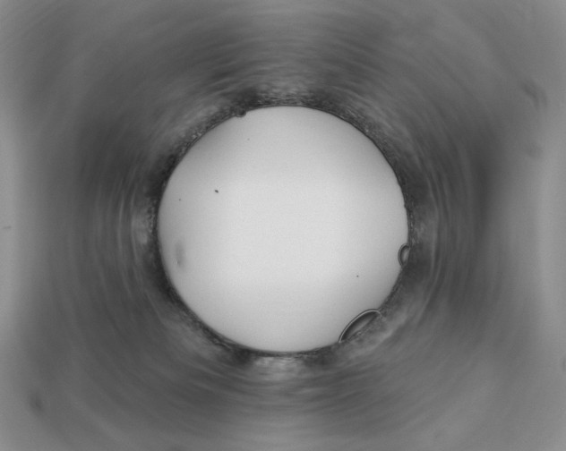 X0000113120133200909181656