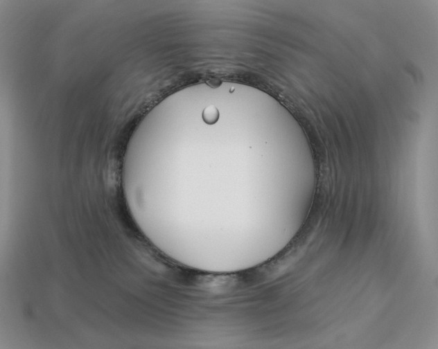 X0000113120135200909181656