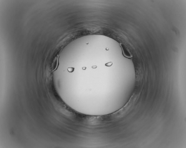 X0000113120136200909181656