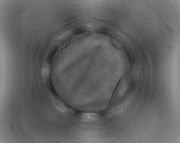 X0000113120137200909181656