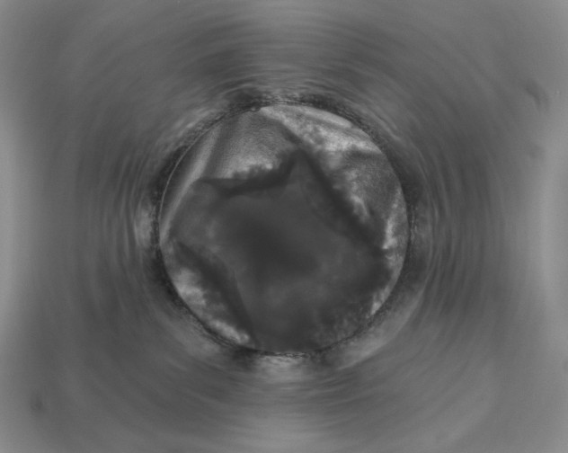 X0000113120139200909181656
