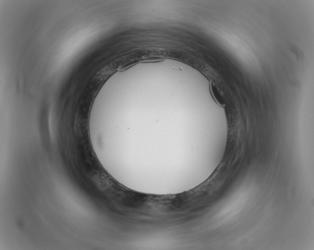 X0000113120140200909181656