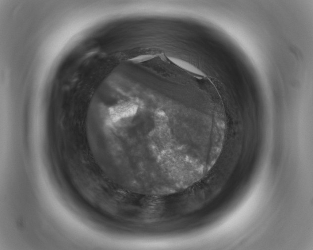 X0000113120143200909181656