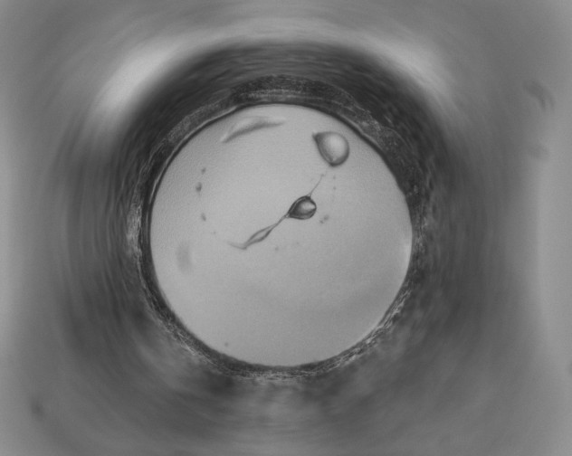 X0000113120146200909181655