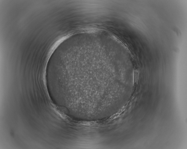X0000113120147200909181655