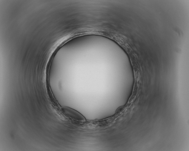 X0000113120148200909181655