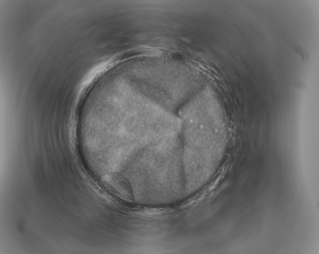 X0000113120149200909181655