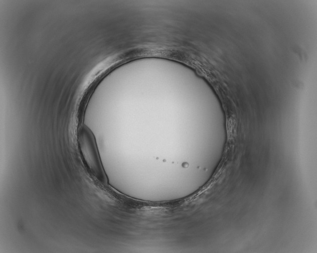 X0000113120150200909181655