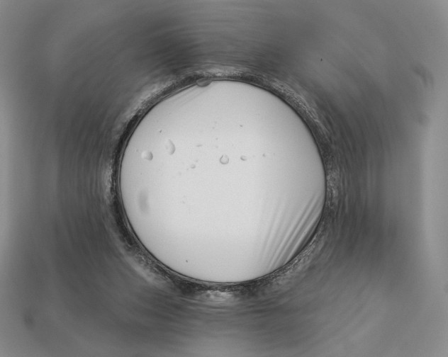 X0000113120159200909181655