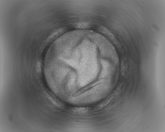 X0000113120161200909181655