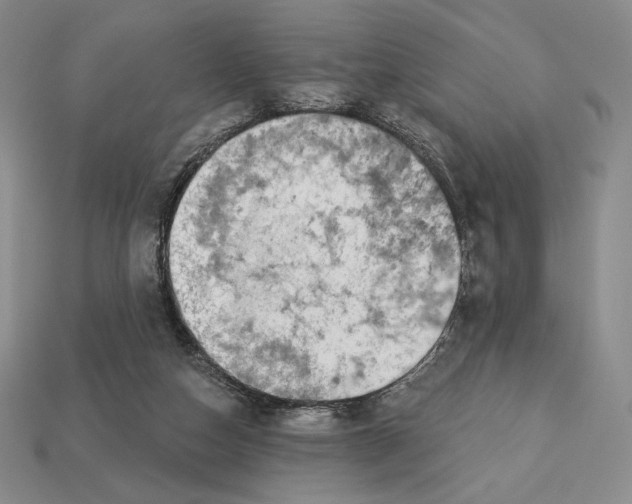 X0000113120162200909181656