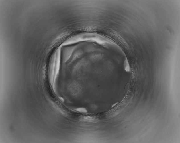 X0000113120163200909181656